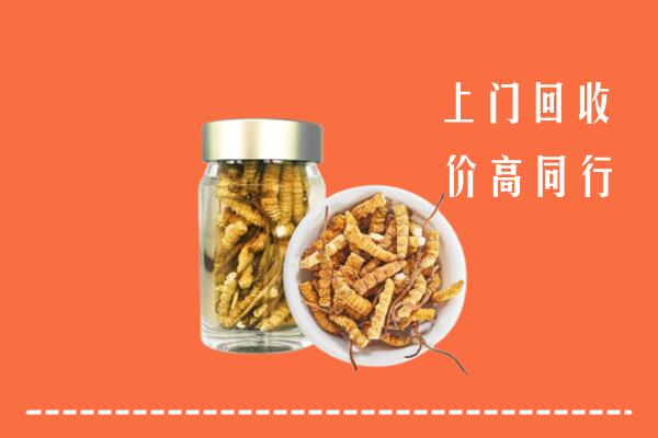 大名县回收冬虫夏草