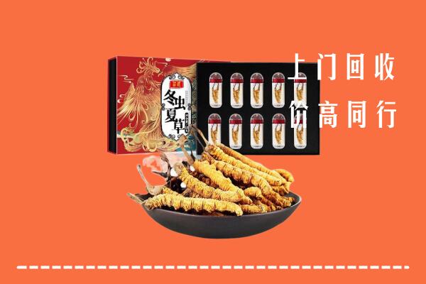 大名县回收虫草